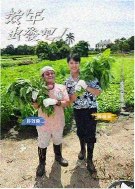 一起露营吧剧照
